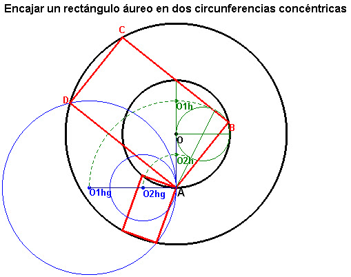 rectangulo_aureo_circunferencias_concentricas-c.jpg