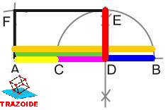 poli048e.jpg