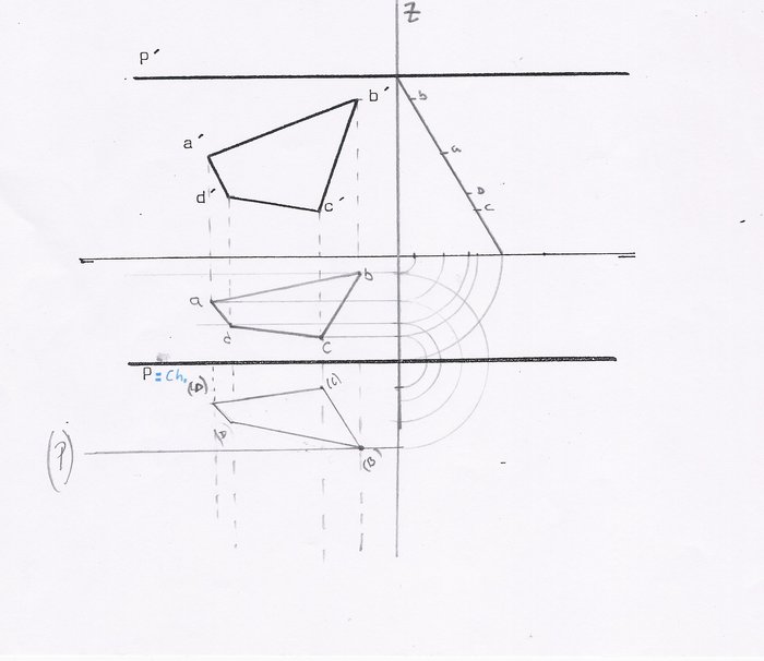 DITEC1.jpg