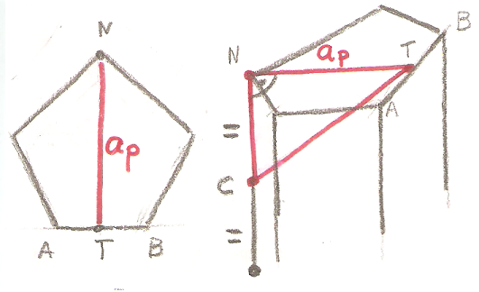 PrimaPentagonal01.PNG