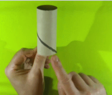 espiral de un canuto de papel higienico